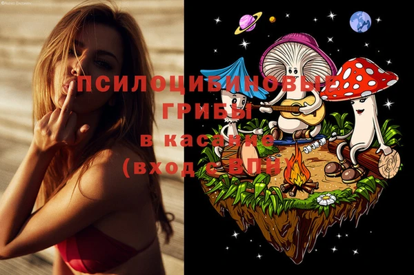 а пвп мука Новочеркасск