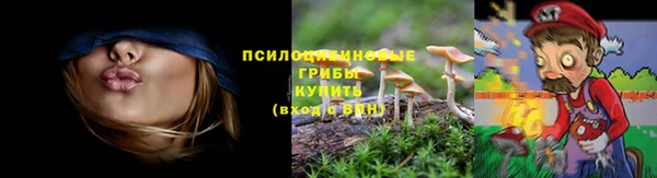 соль ск Кукмор