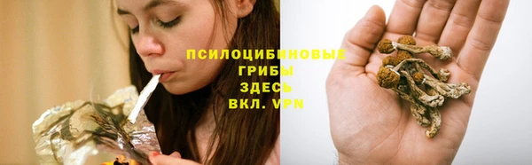 соль ск Кукмор