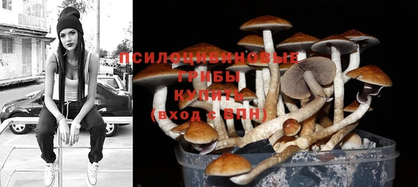 PSILOCYBIN Сафоново
