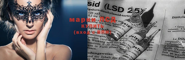 шишки Михайлов